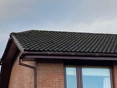 Multi-trade Property Improvements: Roof Repairs