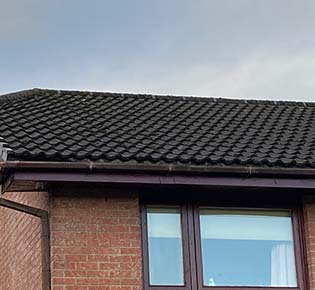 Multi-trade Property Improvements: Window Repairs